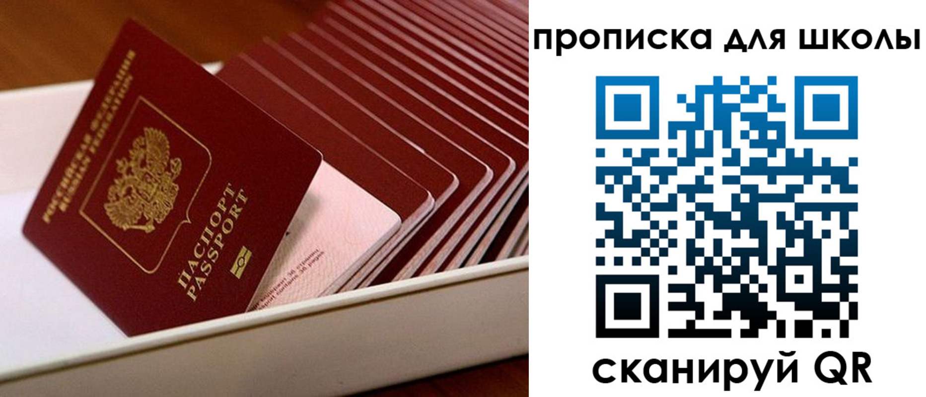 временная регистрация гарантия в Дубовке